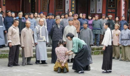 向警予电视剧,革命女杰的青春岁月